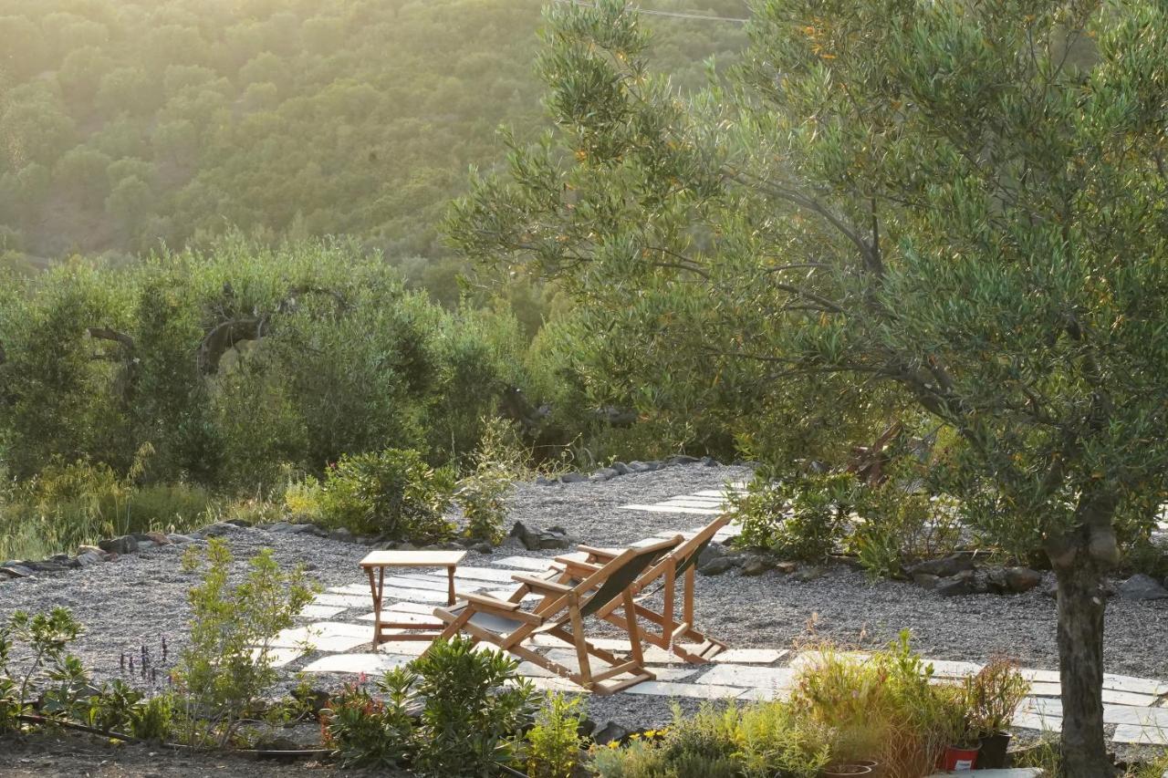 Alterra Vita Eco Villas Neos Marmaras Bagian luar foto