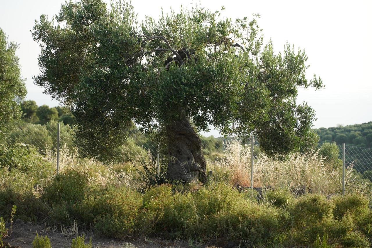 Alterra Vita Eco Villas Neos Marmaras Bagian luar foto